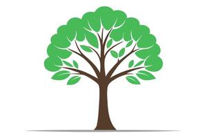 A vibrant illustration of a lush green tree with intricate branches and leaves, perfect for nature-themed designs and Eco-friendly projects. vector