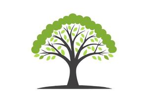 A vibrant illustration of a lush green tree with intricate branches and leaves, perfect for nature-themed designs and Eco-friendly projects. vector