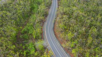 A drone follows a car driving on an asphalt road in the forest video