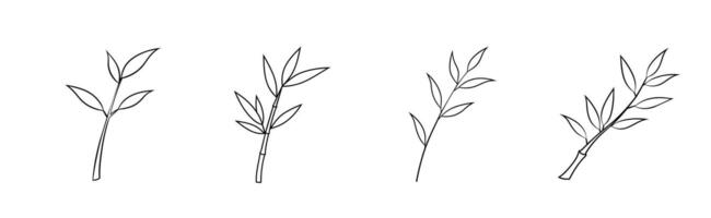 Set of Hand drawn Bamboo Branch with Leaves Illustration. vector