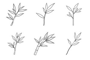 Set of Hand drawn Bamboo Branch with Leaves Illustration. vector