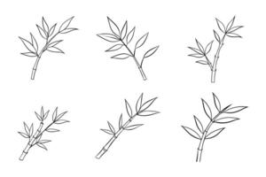 Set of Hand drawn Bamboo Branch with Leaves Illustration. vector