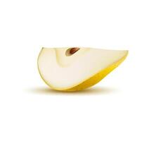 Raw realistic yellow pear fruit ripe quarter slice vector