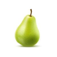 Raw realistic green pear fruit. Ripe whole 3d pear vector