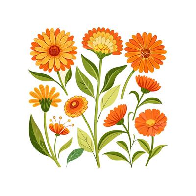 Outline flower set for artistic designs.