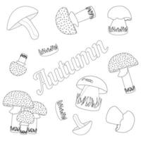 Detailed coloring page featuring various autumn mushrooms. Ideal for kids and adults to enjoy a relaxing and creative activity. vector