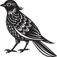 Beautiful bird silhouette image on white background vector