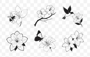 Print Comprehensive Azalea Line Art Set for Detailed and Elegant Floral Designs vector