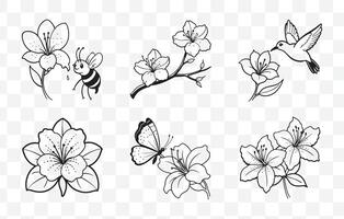 Print Elegant Azalea Line Art Set for Artistic and Creative Designs vector