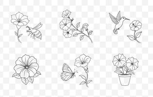 Print Petunia Flower Line Art Set Elegant Detailed Botanical Illustrations for Design and Decoration vector
