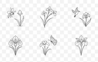 Print Exquisite Iris Line Art Set for Designers Illustrators and Artists vector