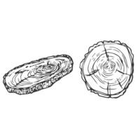Tree Rings Set Saw Cut Trunk with Cracks and Black Lines Wooden Texture. illustration. Wood circle line sketch vector