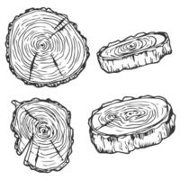 Tree Rings Set Saw Cut Trunk with Cracks and Black Lines Wooden Texture. illustration. Wood circle line sketch vector