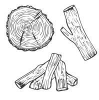 Tree Rings Set Saw Cut Trunk with Cracks and Black Lines Wooden Texture. illustration. Wood circle line sketch vector