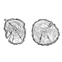 Tree Rings Set Saw Cut Trunk with Cracks and Black Lines Wooden Texture. illustration. Wood circle line sketch vector