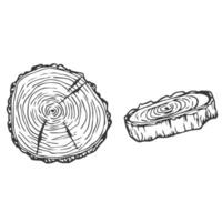 Tree Rings Set Saw Cut Trunk with Cracks and Black Lines Wooden Texture. illustration. Wood circle line sketch vector