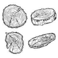Tree Rings Set Saw Cut Trunk with Cracks and Black Lines Wooden Texture. illustration. Wood circle line sketch vector