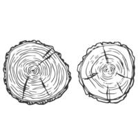 Tree Rings Set Saw Cut Trunk with Cracks and Black Lines Wooden Texture. illustration. Wood circle line sketch vector