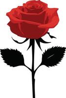 red rose isolated on white, red rose , red rose , colorful rose, rose illustration vector