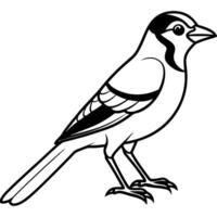 Crab Plover bird reading icon vector