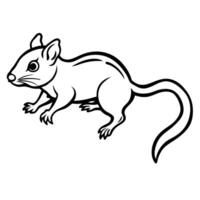 Cuban Solenodon rodent play icon vector