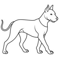 Cocker Spaniel dog learns icon vector