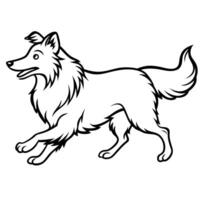 Collie dog runs icon vector