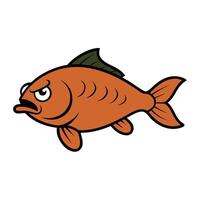 Crucian Carp fish angry icon vector
