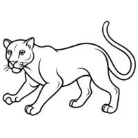 Cougar leopard runs icon vector