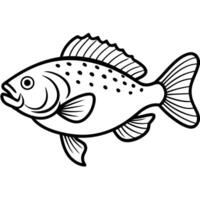 Crappie Fish runs icon vector