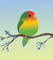 A very cute Rosy-faced lovebird in the shape of an egg. Soft blue green gradient background. The bird is perched on a branch with blue blossom. vector