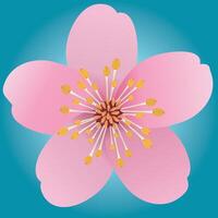 A pink flower with five petals. Based on a cherry blossom or sakura. The background is a turquoise gradient. vector