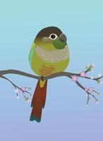 A very cute green cheek conure bird in the shape of an egg. Soft blue purple gradient background. The bird is perched on a branch with pink blossoms. vector