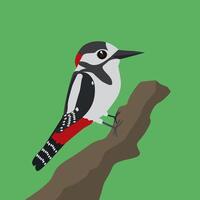 A digital illustration of a great spotted woodpecker on a tree trunk with a green background vector