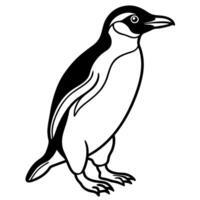 Crested Penguin walks icon vector