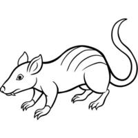 Cuban Solenodon rodent runs icon vector