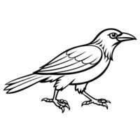 Crow bird runs icon vector