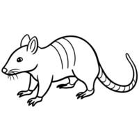 Cuban Solenodon rodent learns icon vector