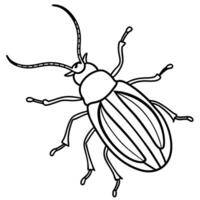 Cucumber Beetle bug walks icon vector