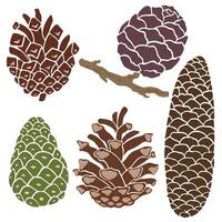 Set of illustrations of spruce cones and fir cones. vector
