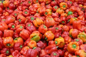 Vegetables and fruits are sold at a bazaar in Israel. photo