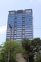 A building in the city through the crown of a tall tree on a city street. photo