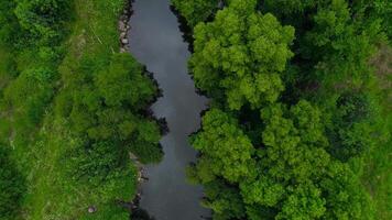 Forest River Aerial View video