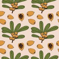 Loquat plant hand drawn seamless pattern. Repeating background of Eriobotrya japonica fruits, leaves, branch. Backdrop for textile, wrapping, paper, logo, label, print, paper, card vector