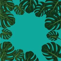 tropical frame with green monstera leaves on background vector