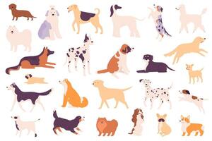 Simple dogs. Different dog breeds including a Shiba Inu, Poodle and Bulldog, Shih Tzu and Chow Chow, Dachshund and Wiener, German Shepherd and Labrador puppy pets set isolated vector