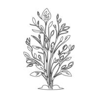Bouquet flower outline illustration sketch vector