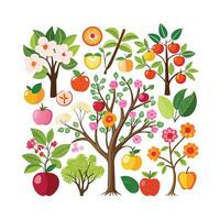 Hand drawn design botanical elements collection vector