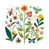 Hand drawn design botanical elements collection vector