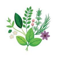 Hand drawn design botanical elements collection vector